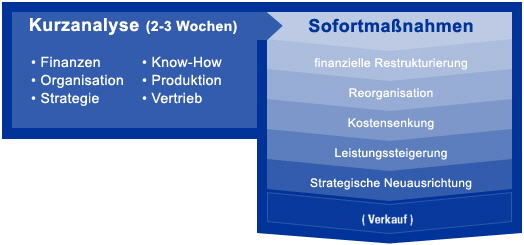 Grafik Sanierungsumsetzung Grafik Sanierungsumsetzung
